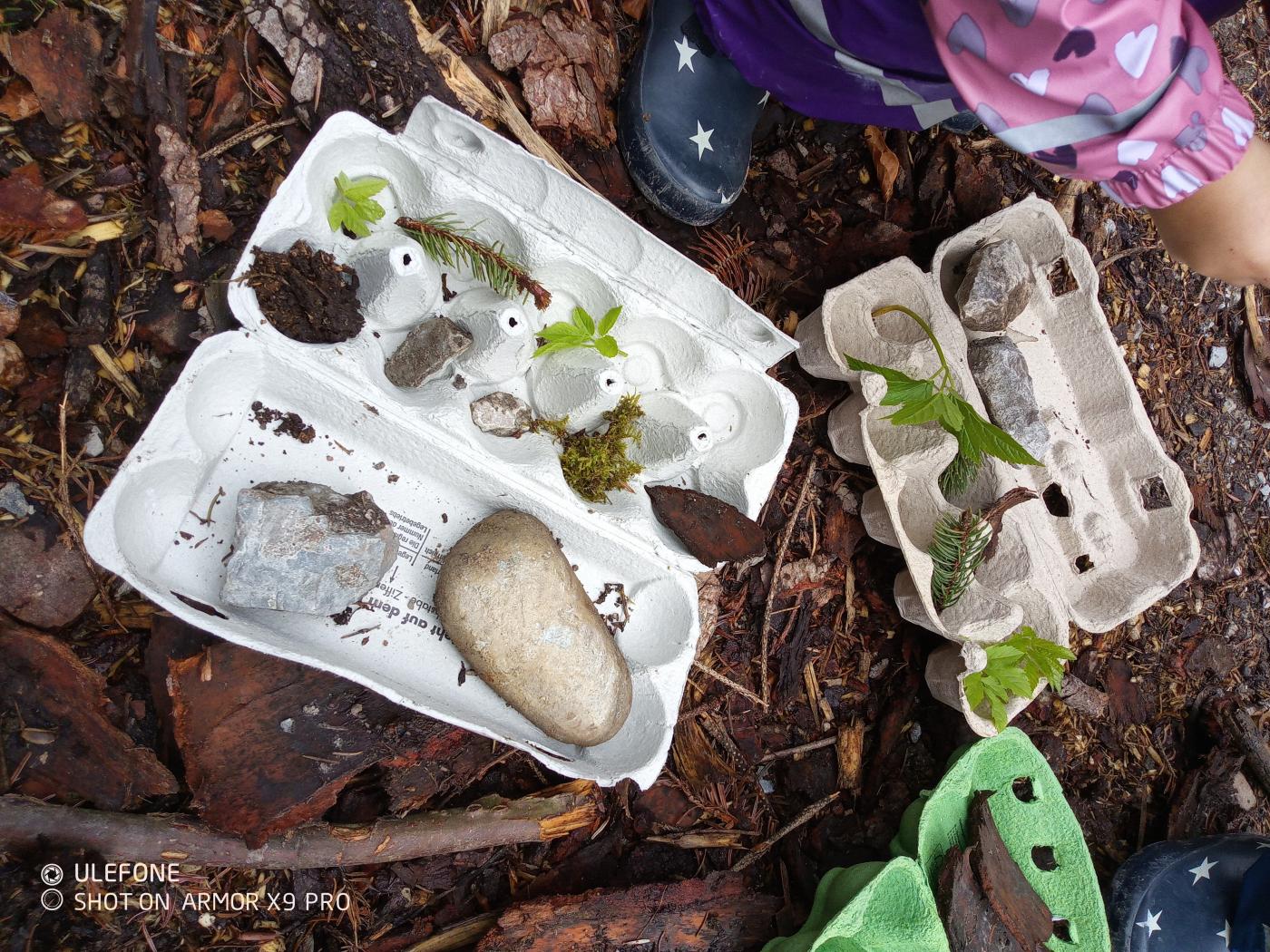 Bild zeigt Naturmaterialien